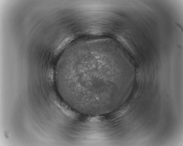 X0000102490072200808151506