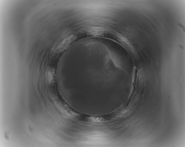 X0000102490073200808151506