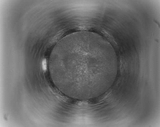 X0000102490075200808151506