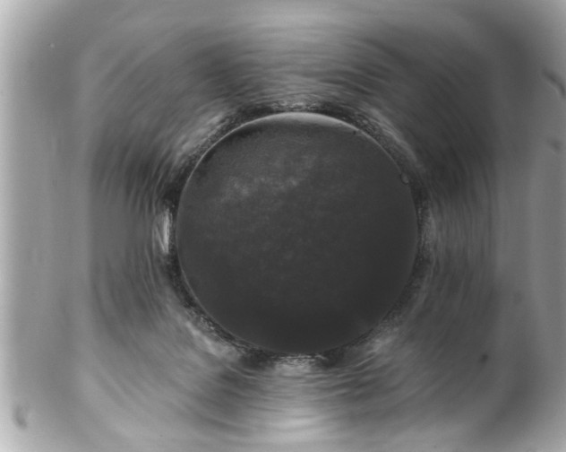 X0000102490076200808151506