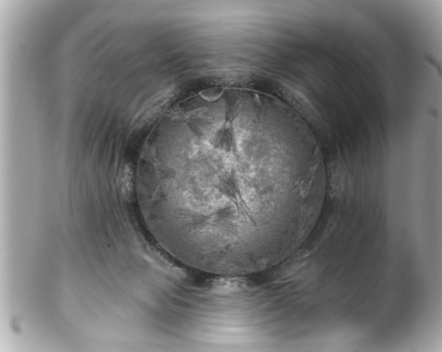 X0000102490077200808151506