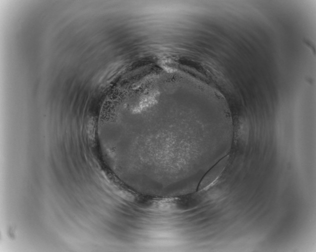 X0000102490078200808151506