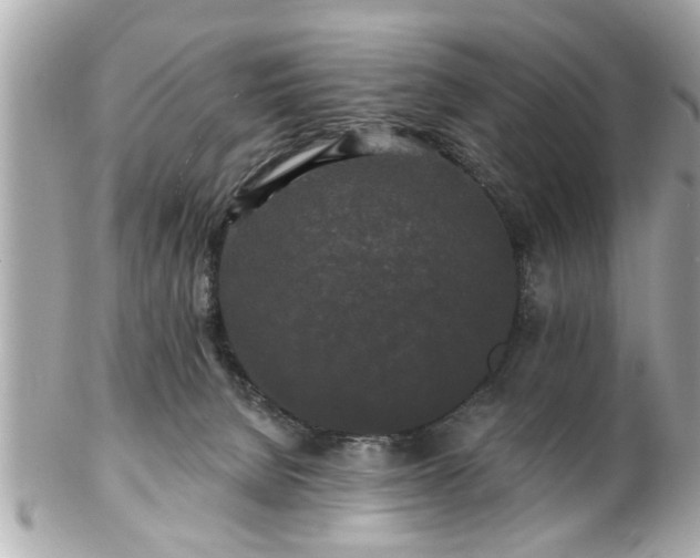 X0000102490080200808151506