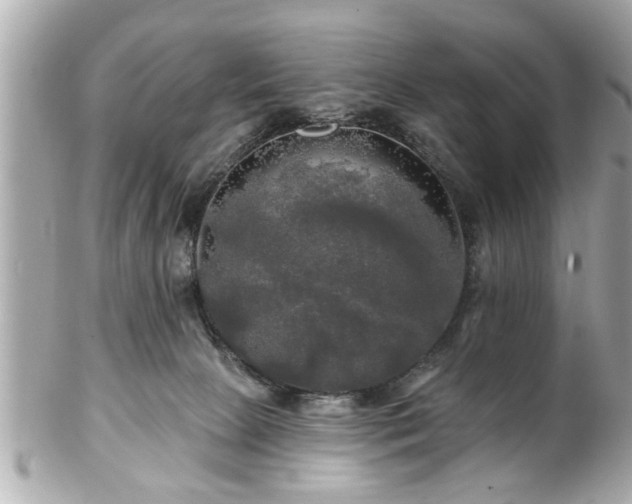 X0000102490081200808151506