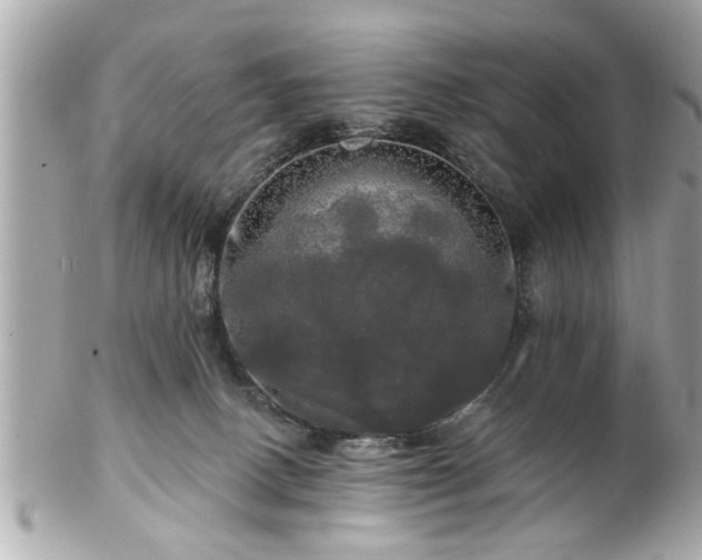 X0000102490082200808151506