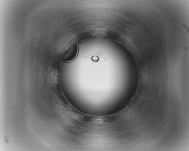 X0000102490083200808151506