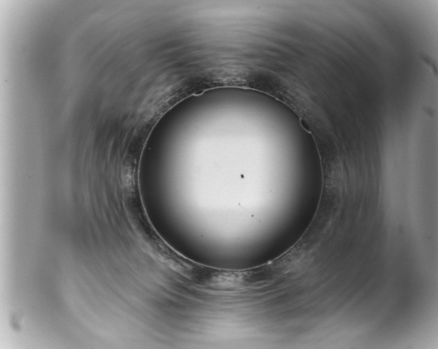 X0000102490084200808151506