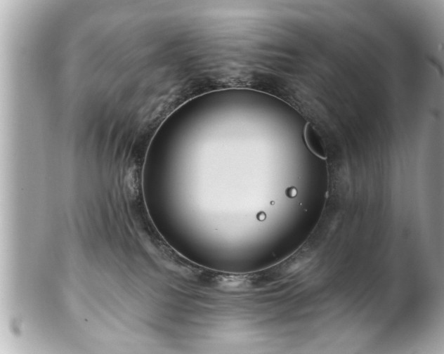 X0000102490088200808151506