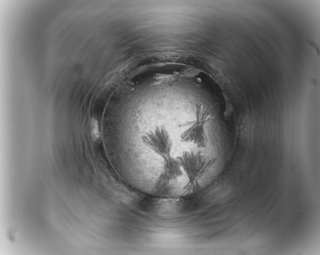 X0000102490089200808151506