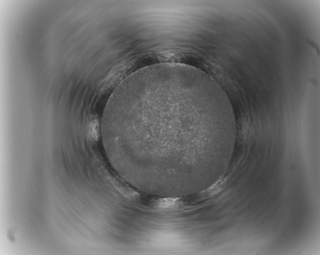 X0000102490090200808151506