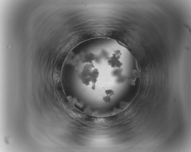 X0000102490091200808151506