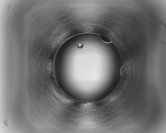 X0000102490092200808151506