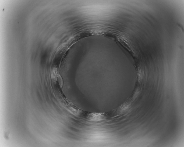 X0000102490093200808151506