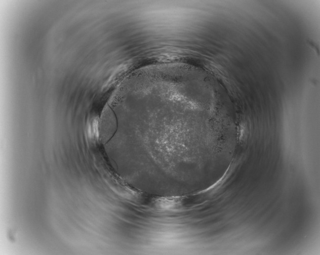 X0000102490094200808151506