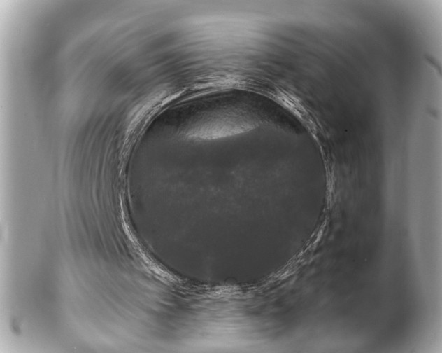 X0000102490097200808151506