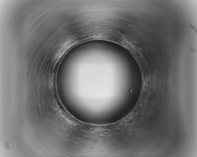 X0000102490098200808151506