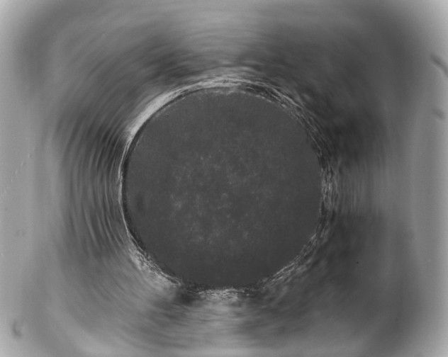 X0000102490100200808151506