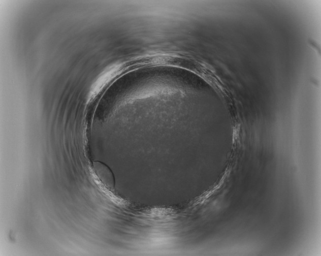 X0000102490101200808151506