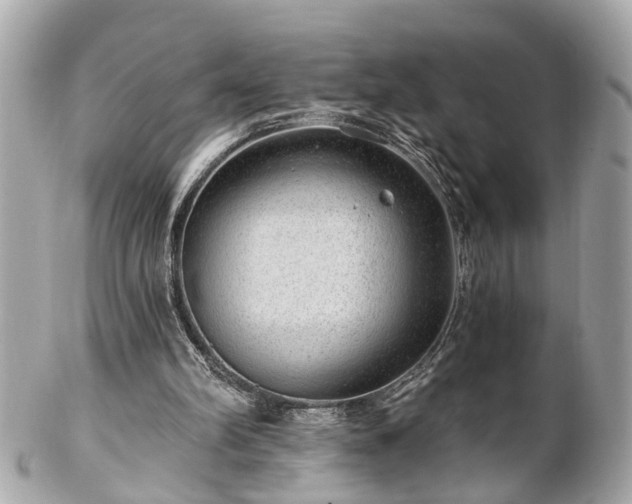 X0000102490102200808151506