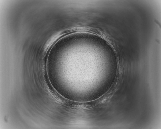 X0000102490103200808151506