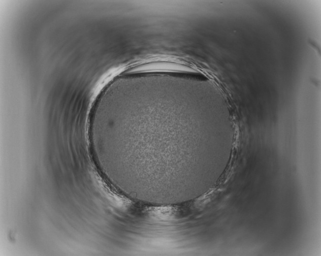 X0000102490104200808151506