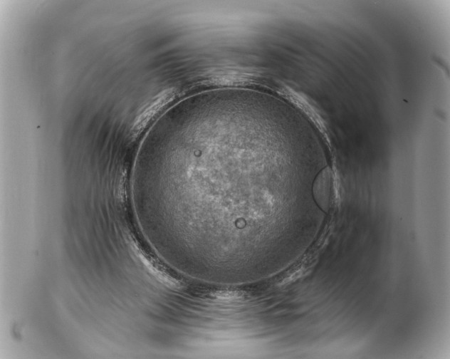 X0000102490105200808151506