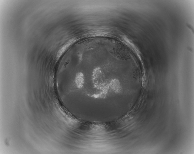 X0000102490107200808151506