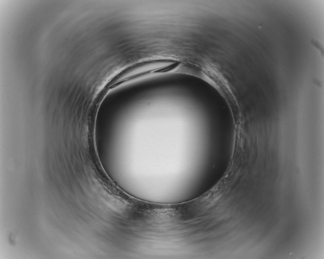 X0000102490108200808151506