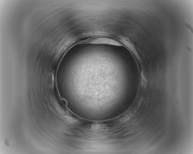 X0000102490109200808151506