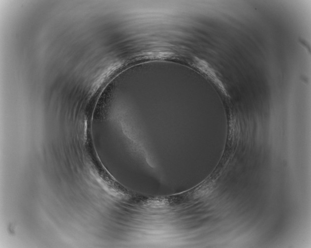 X0000102490110200808151506