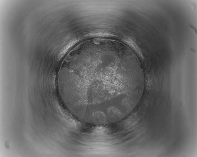 X0000102490111200808151506