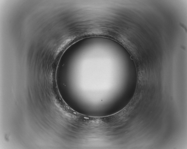 X0000102490112200808151506