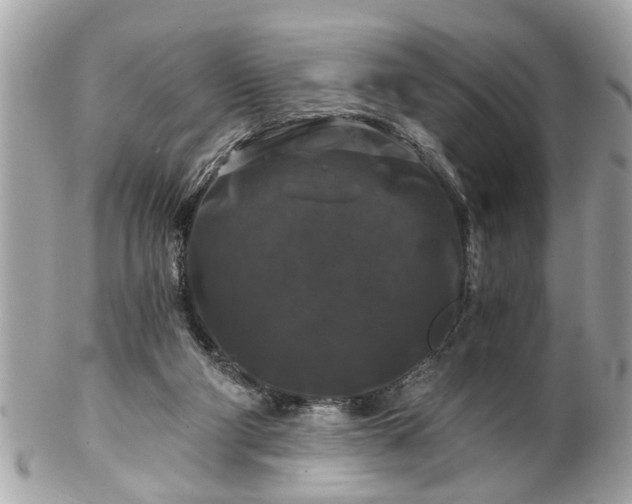 X0000102490114200808151506