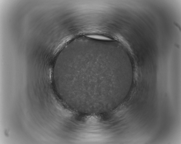 X0000102490115200808151506