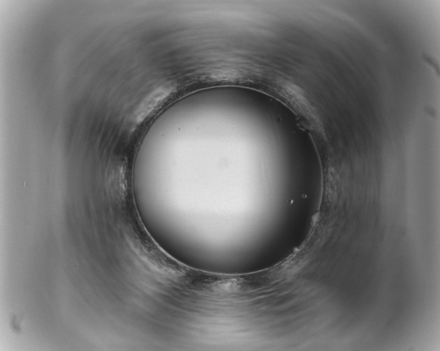 X0000102490116200808151506