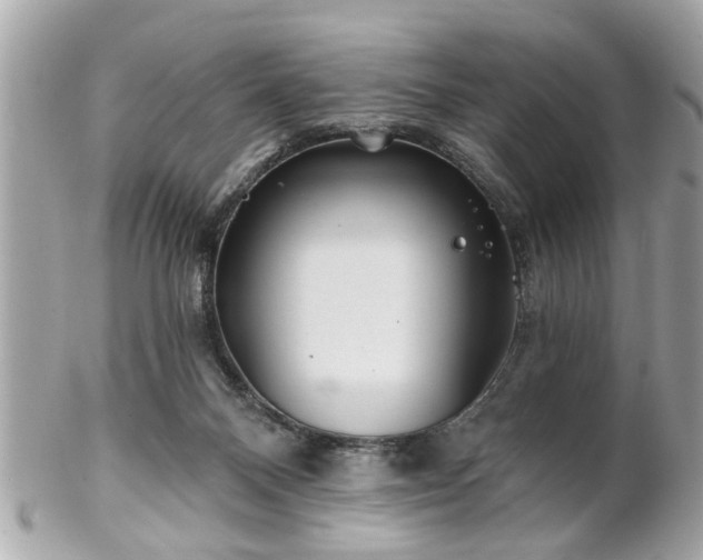 X0000102490120200808151505