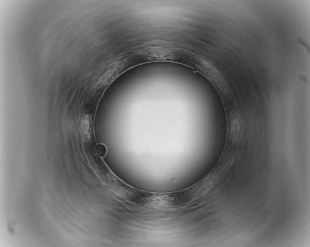 X0000102490121200808151505