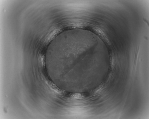 X0000102490123200808151505