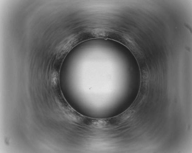 X0000102490125200808151505