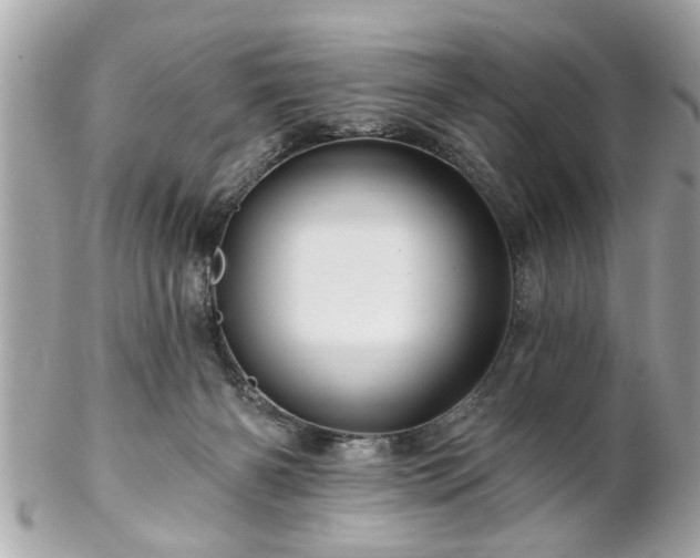 X0000102490126200808151505