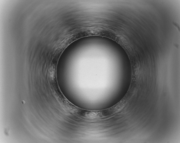 X0000102490129200808151505