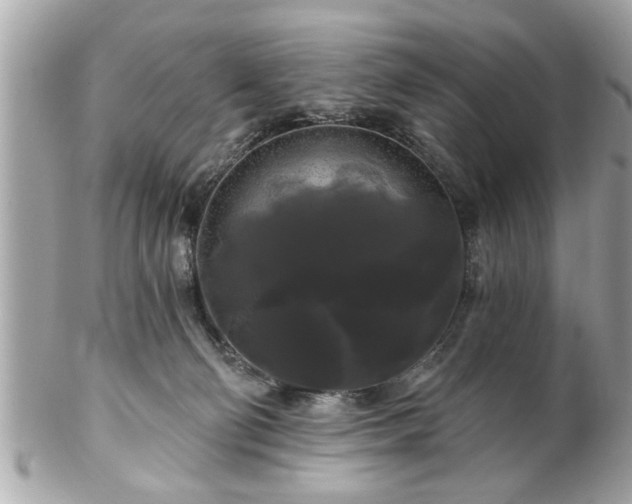 X0000102490130200808151505