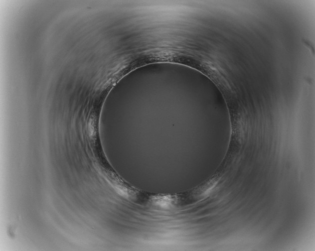 X0000102490131200808151505