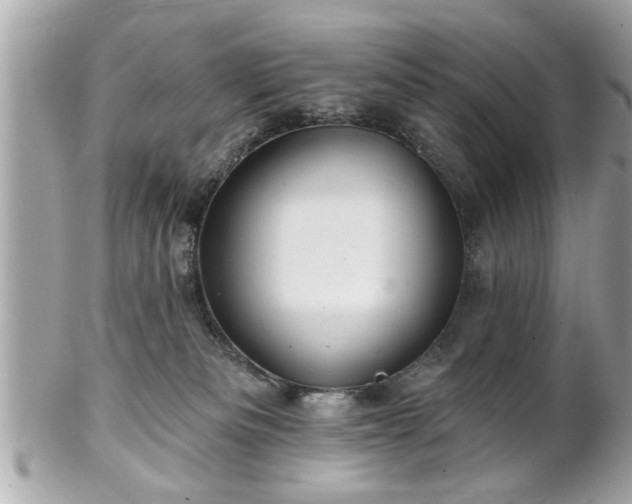 X0000102490133200808151505