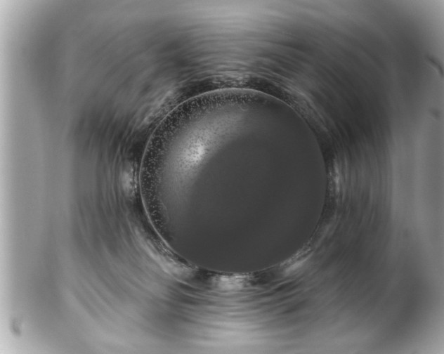 X0000102490134200808151505