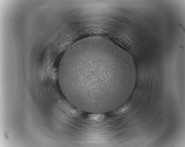 X0000102490135200808151505