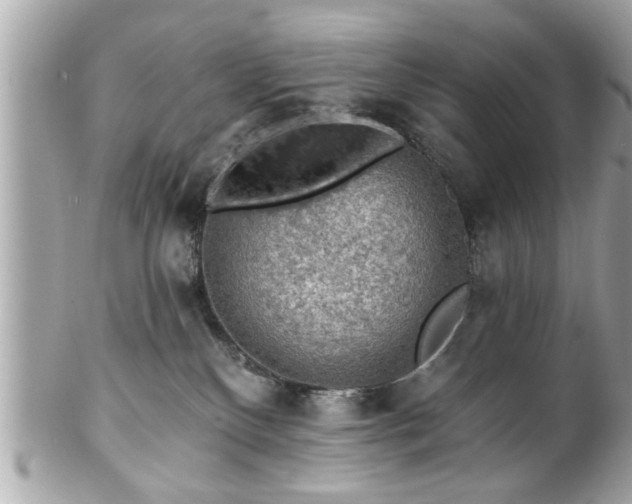 X0000102490136200808151505