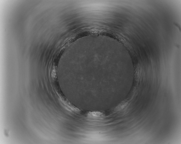 X0000102490137200808151505