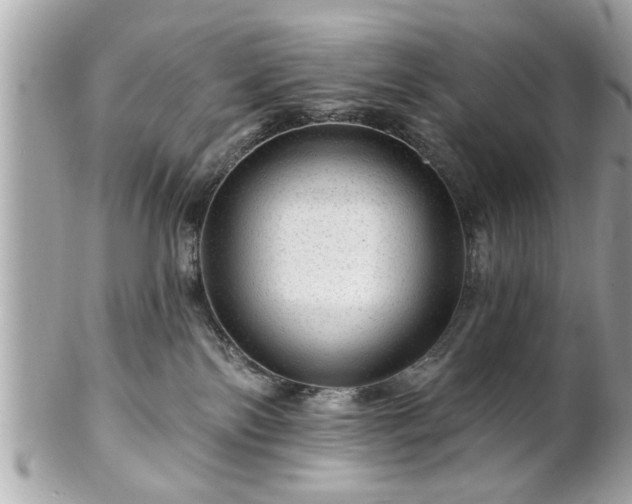 X0000102490138200808151505