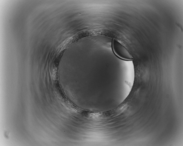 X0000102490139200808151505